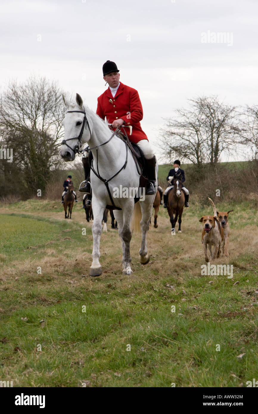 Huntsman and hounds Suffolk England Stock Photo