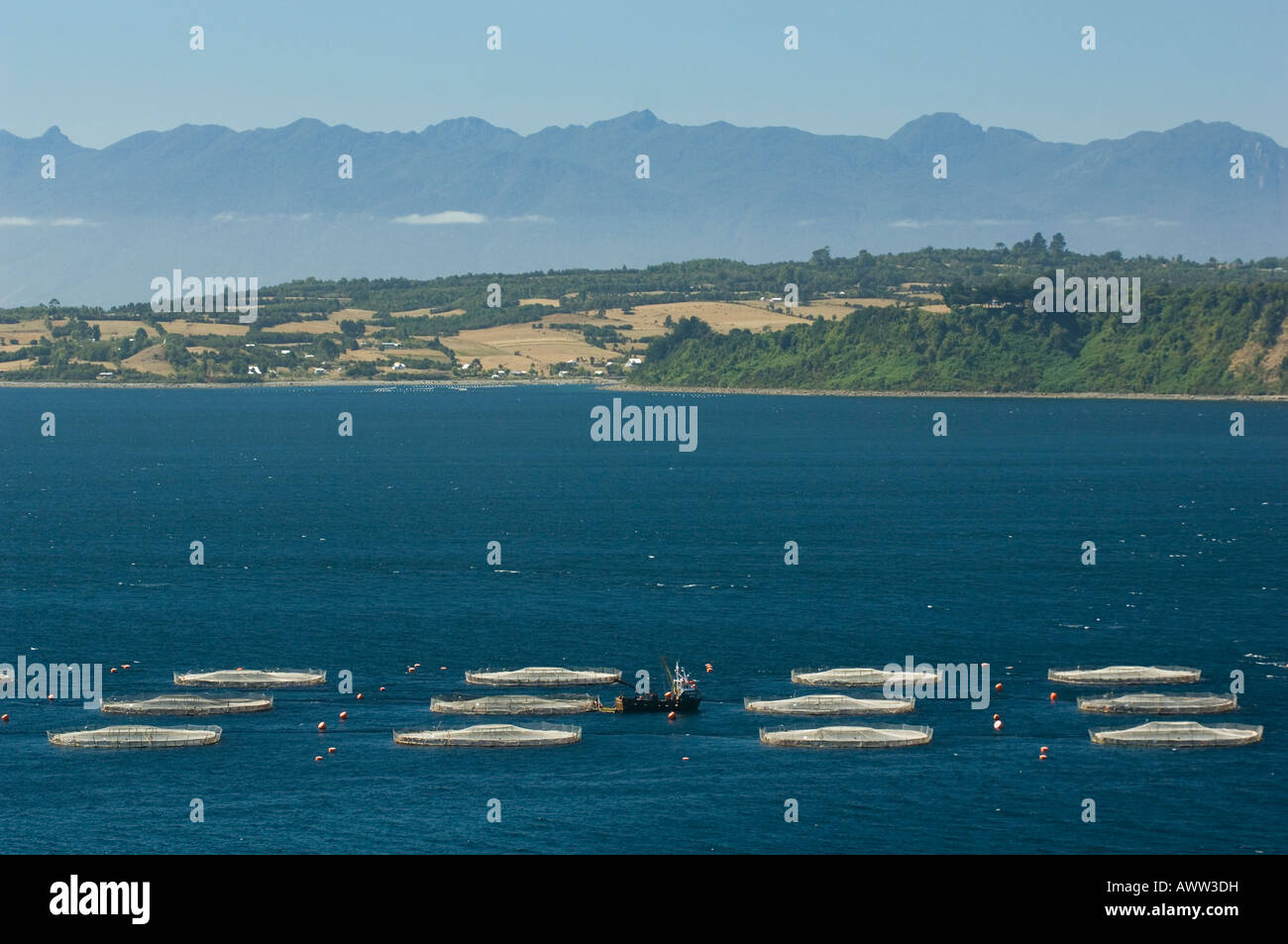 Aquaculture, salmon farm, Marine Harvest, near Puerto Montt, Chile Stock Photo