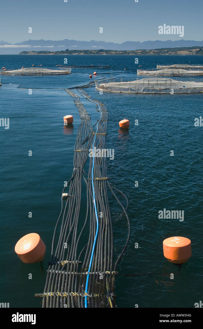 Aquaculture, salmon farm, Marine Harvest, near Puerto Montt, Chile, tubes carry food automatically to floating pens Stock Photo