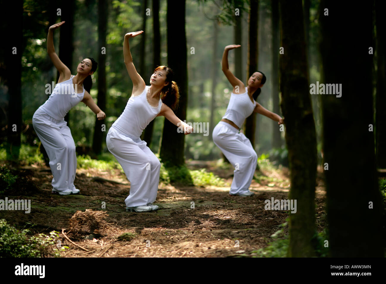 young women practice yoga in forest Stock Photo Alamy