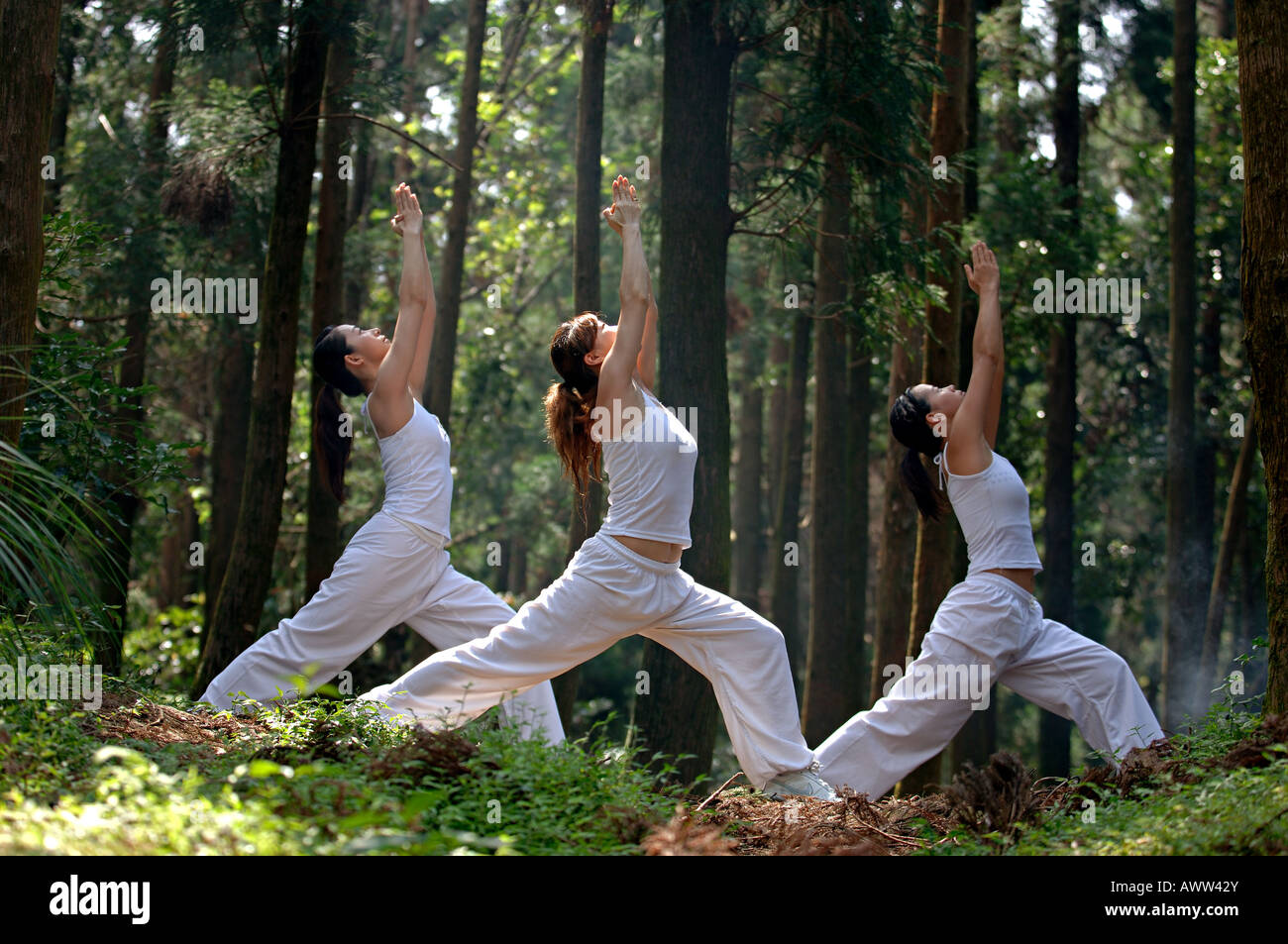 young women practice yoga in forest Stock Photo - Alamy