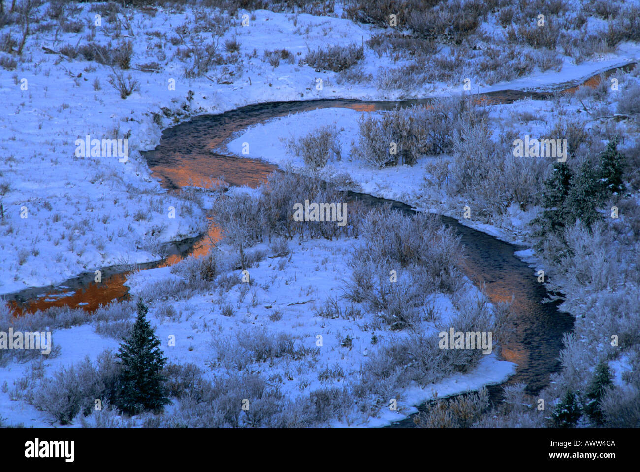 Savage River Denali National Park Alaska United States Stock Photo Alamy