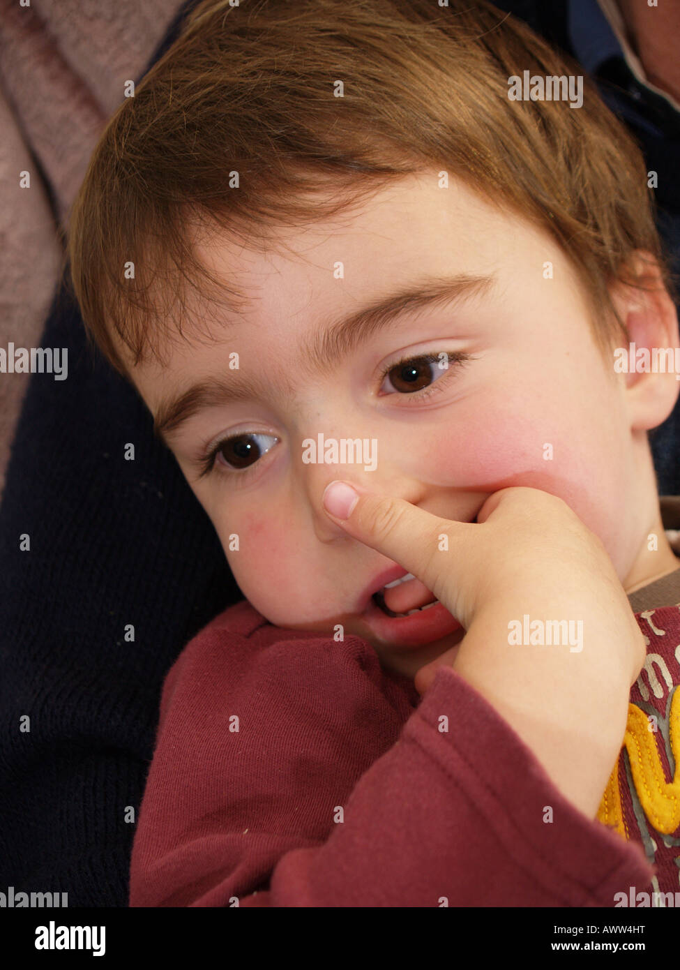 playing looking toddler chewing finger curious Stock Photo Alamy