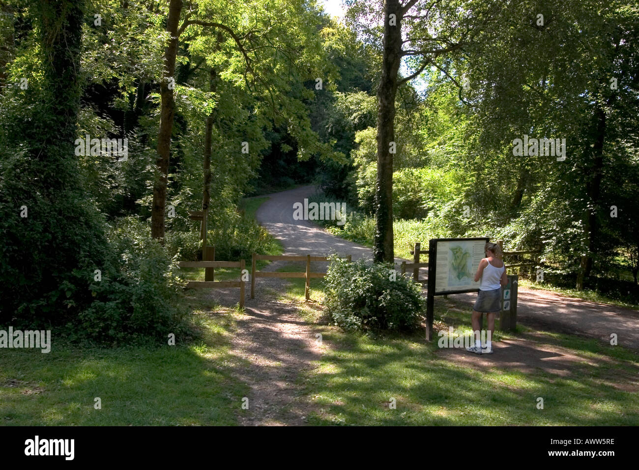 Queen Elizabeth Country Park Near Petersfield Hampshire Stock Photo