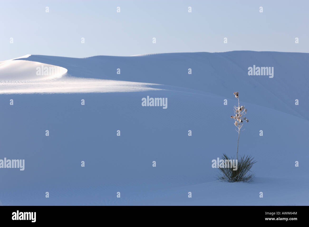 Sand dunes white sands hi-res stock photography and images - Alamy