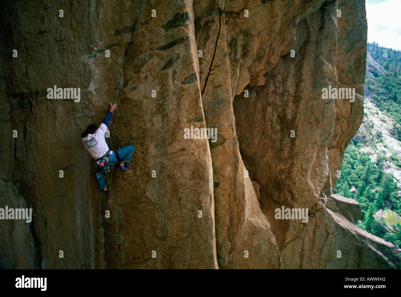 Cookie monster hires stock photography and images Alamy