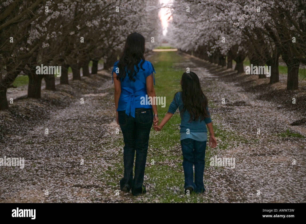 Kids holding hands row happy hi-res stock photography and images - Alamy