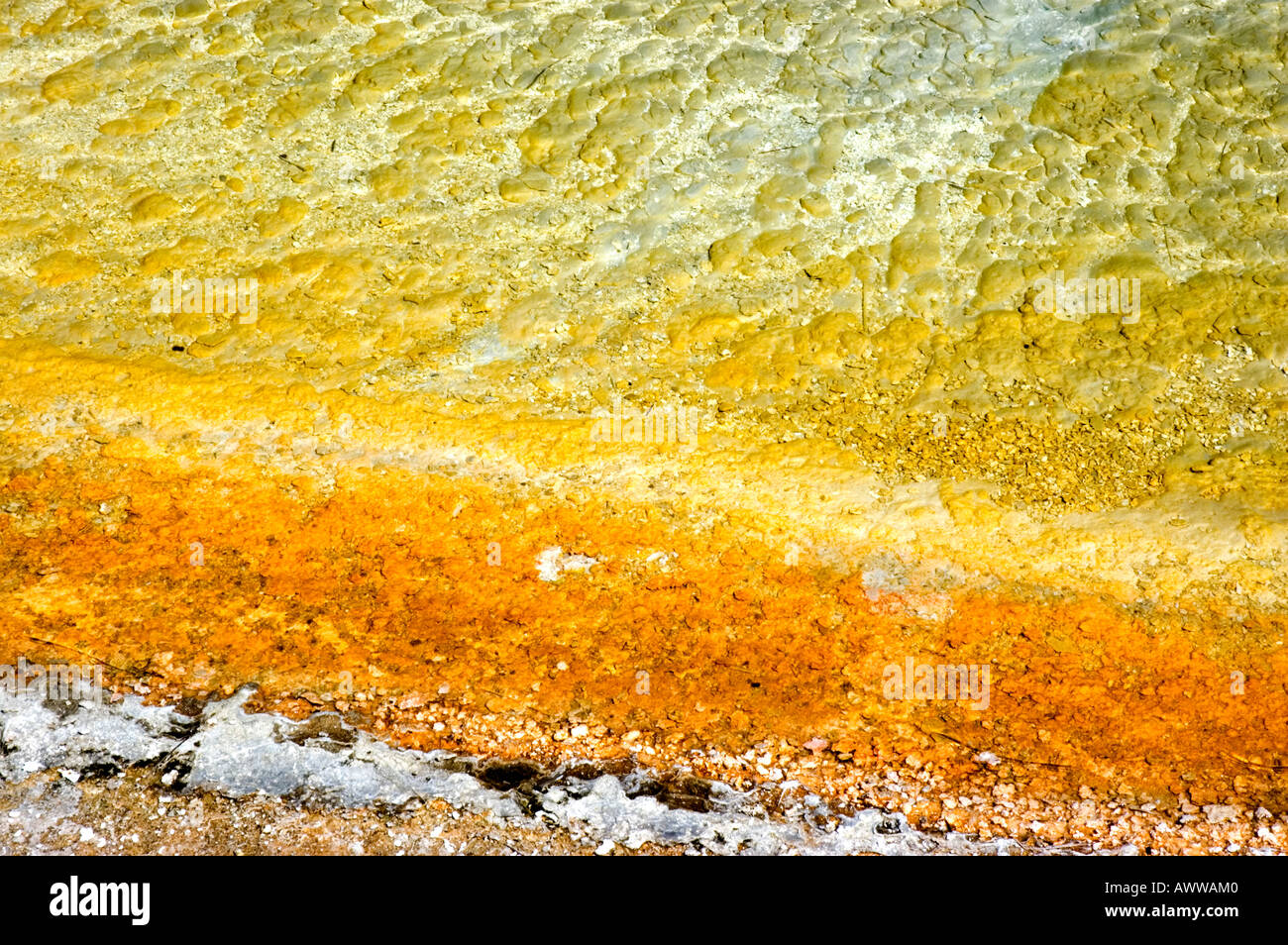 Mineral deposits Rainbow Pool Yellowstone National Park USA Stock Photo