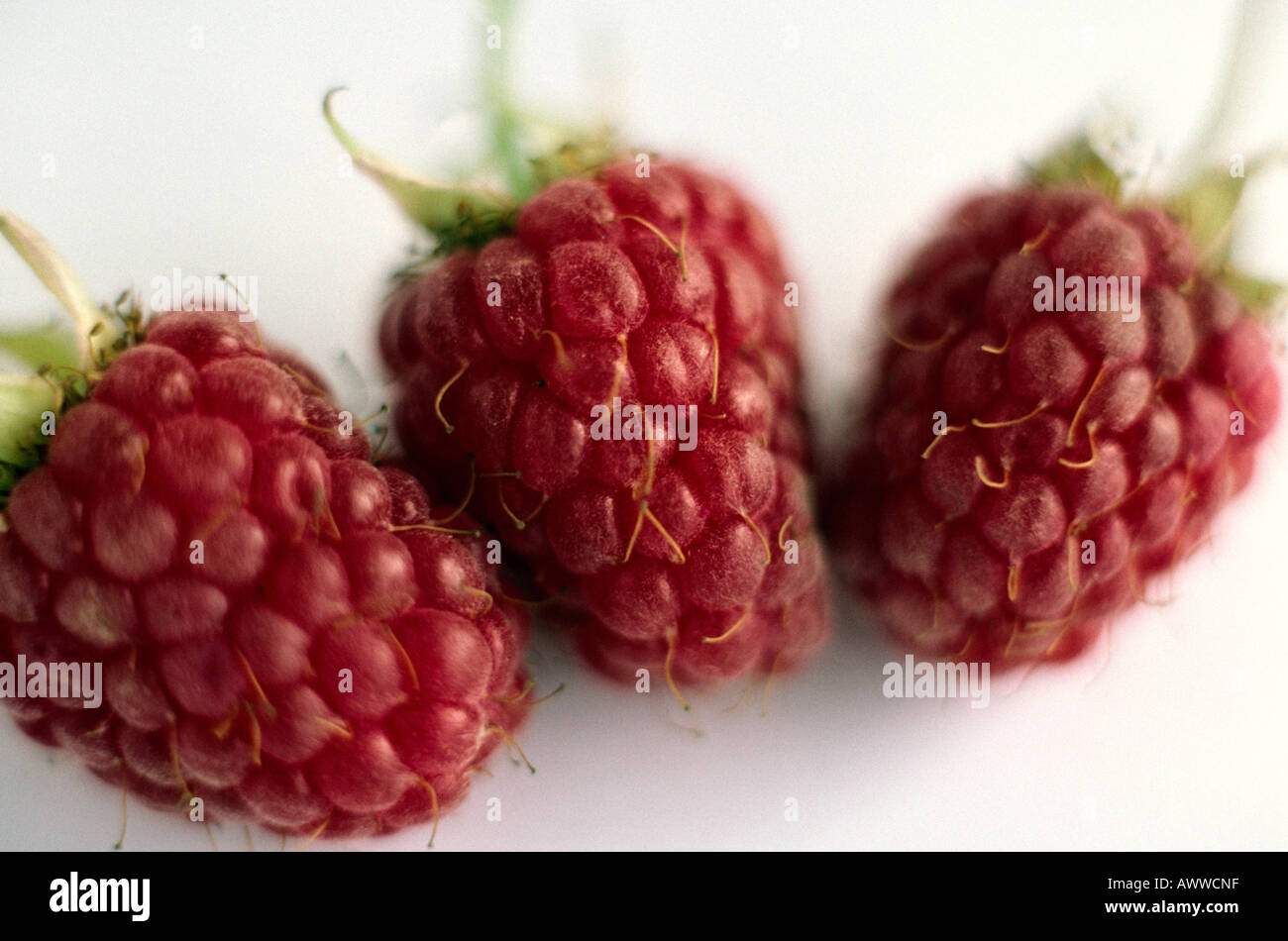 Cane berry hi-res stock photography and images - Alamy