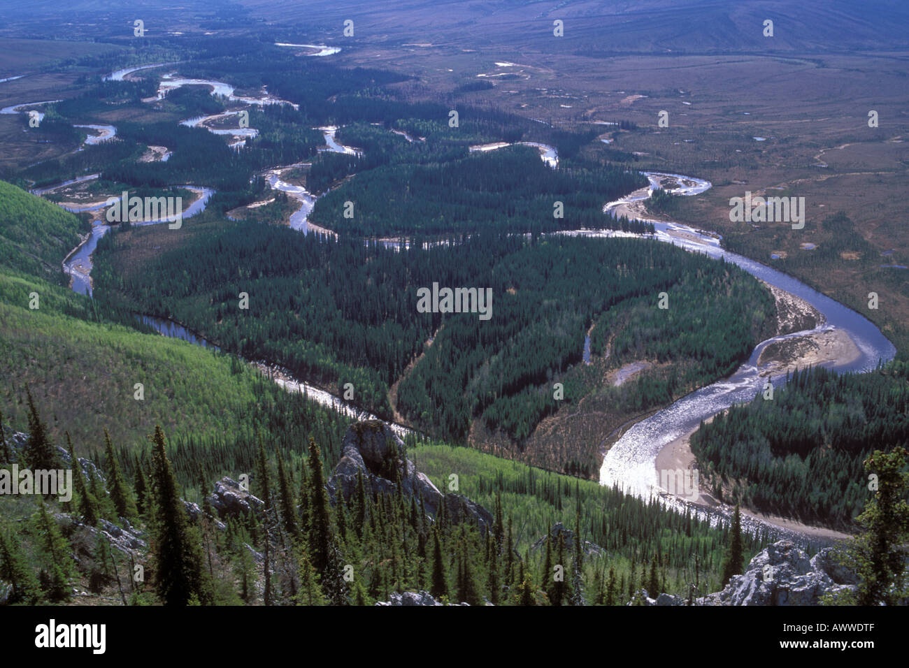 Beaver Creek National Wild and Scenic River White Mountains BLM Stock 
