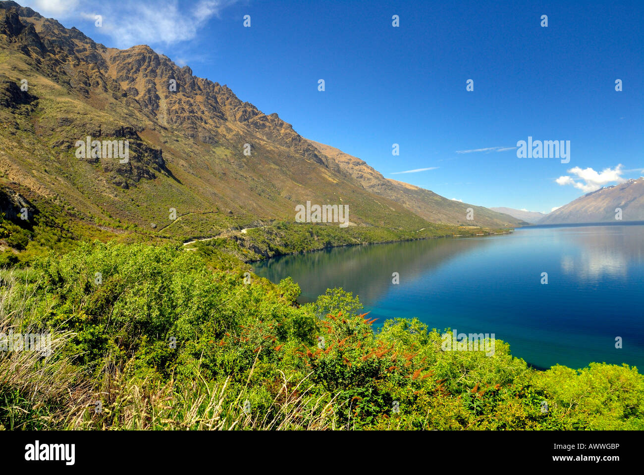Lake Wakatipu near Queenstown New Zealand South Island Stock Photo - Alamy