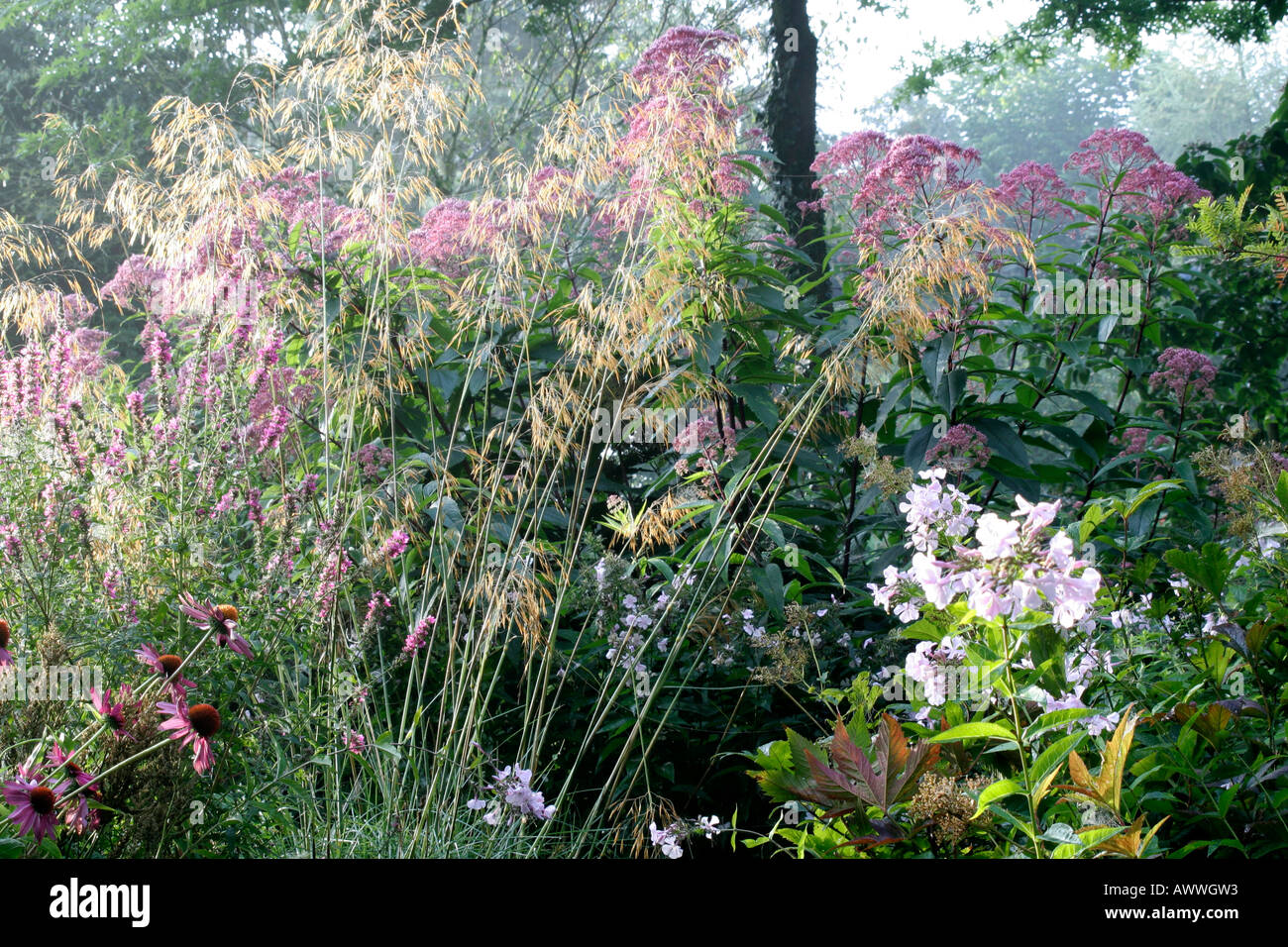 The Pink Garden at Holbrook in Devon on an early late summer morning Stock Photo