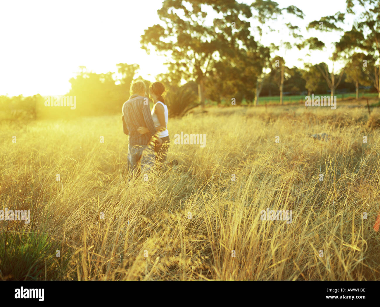 Couple standing in field of tall grass, rear view Stock Photo - Alamy