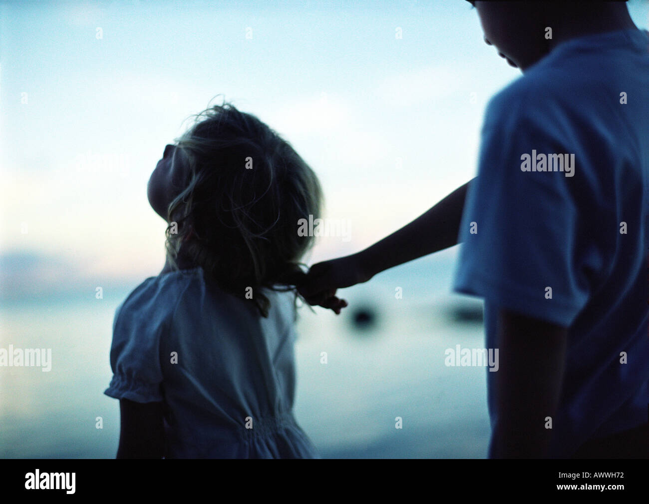 Child pulling other child's hair Stock Photo Alamy
