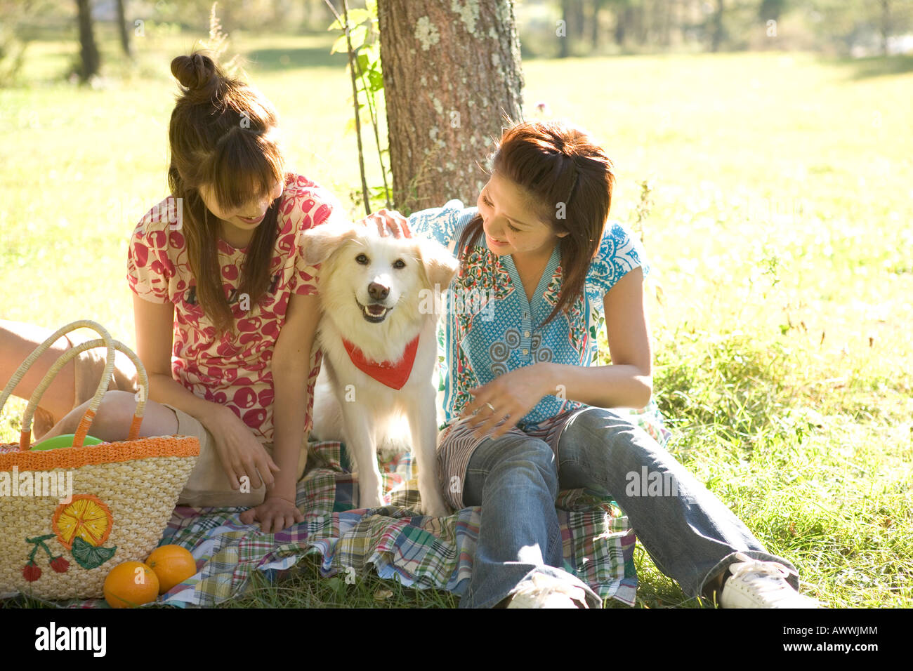 Two women with dog having picnic in park Stock Photo - Alamy