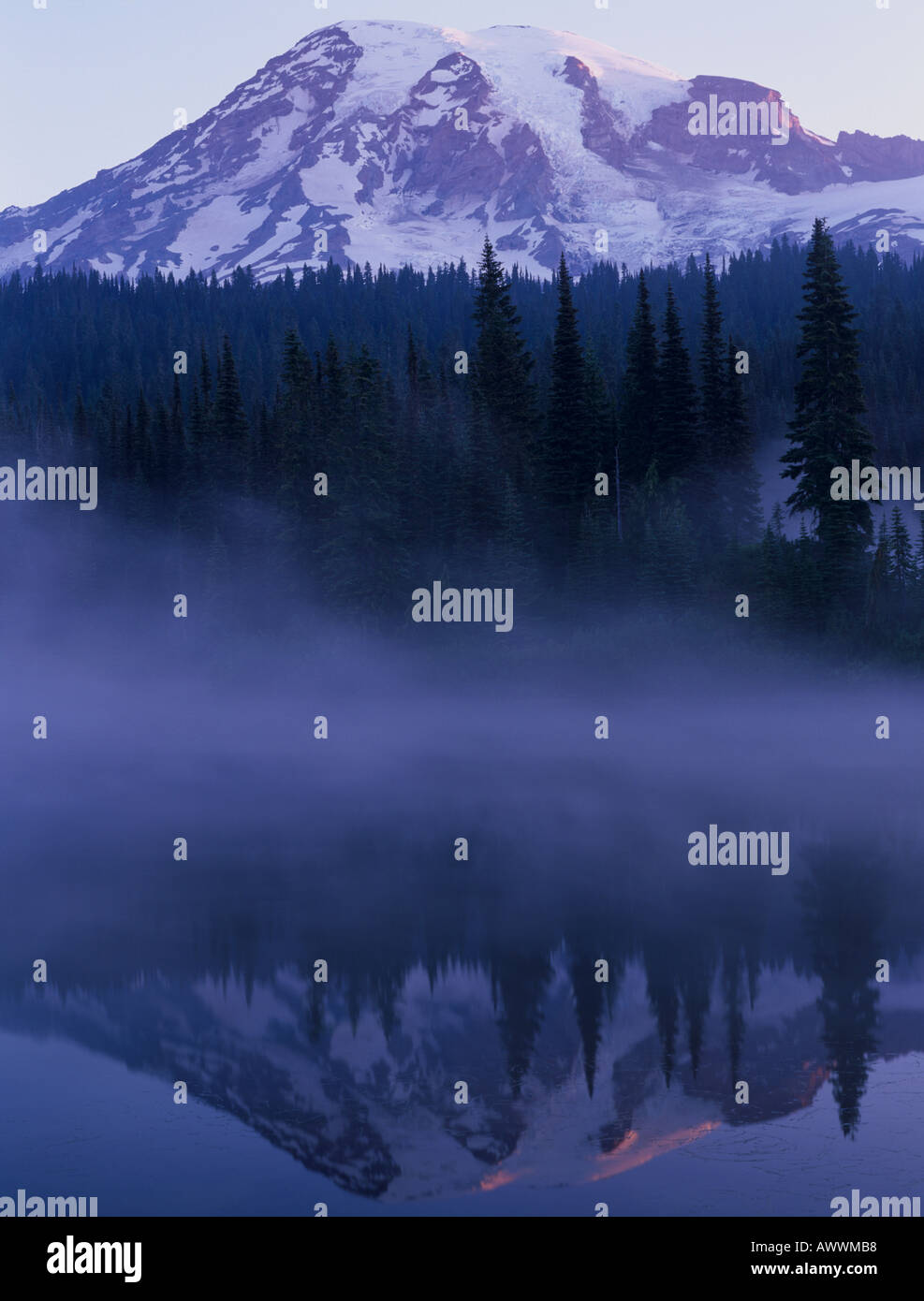 Mt Rainier National Park in mist with temperate rainforest and