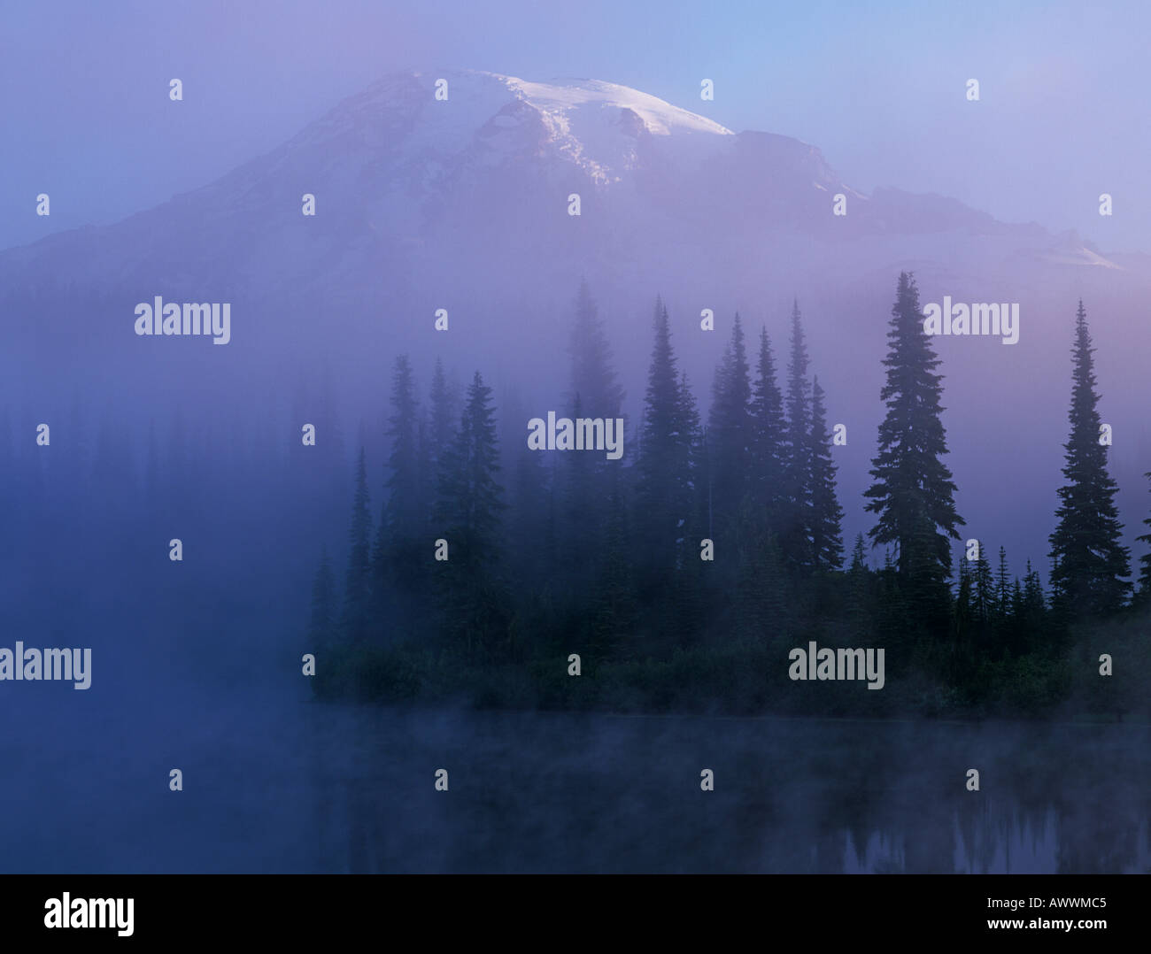 Mt Rainier National Park in mist with temperate rainforest and