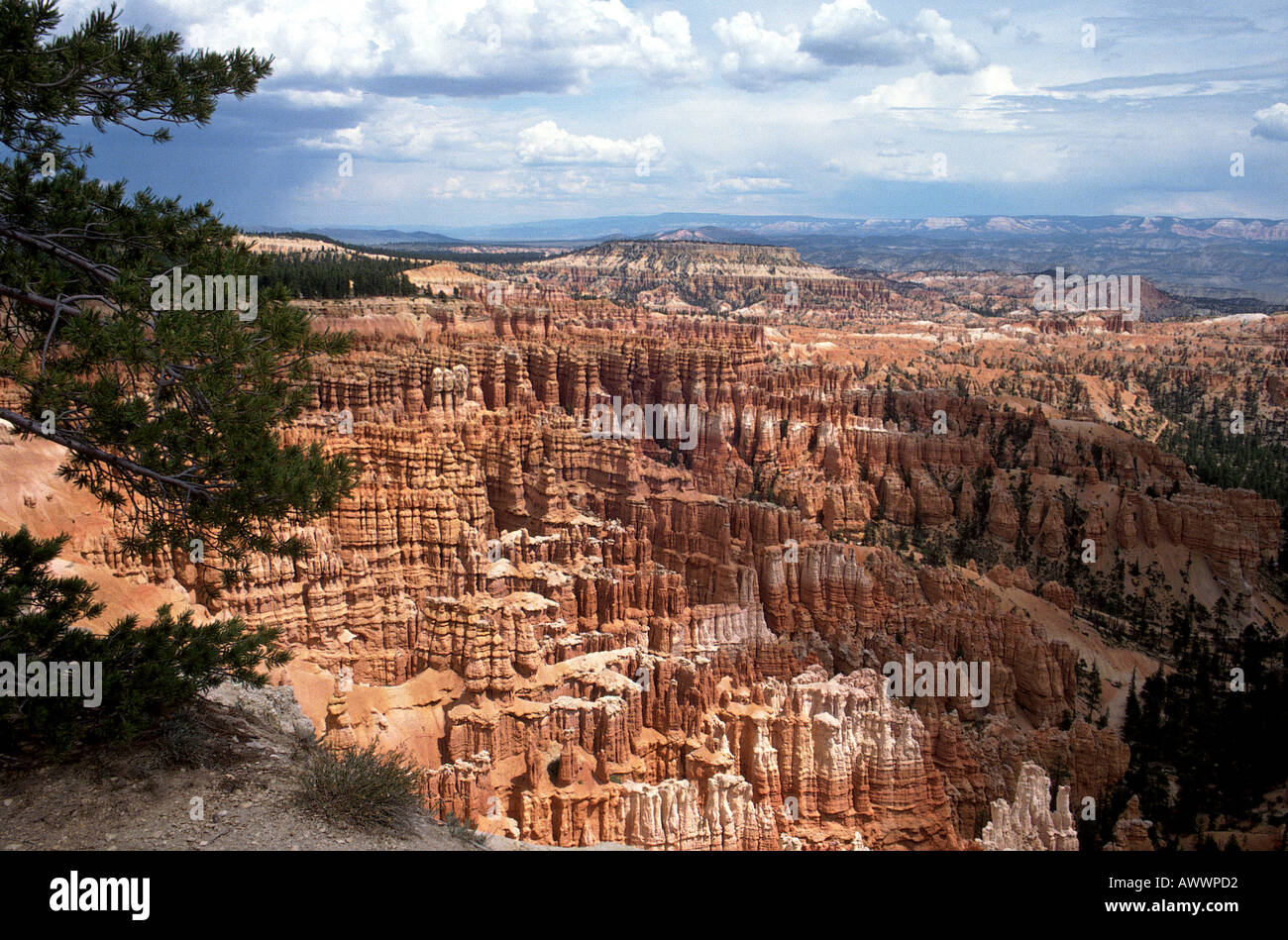 BRYCE CANYON NATIONAL PARK Stock Photo