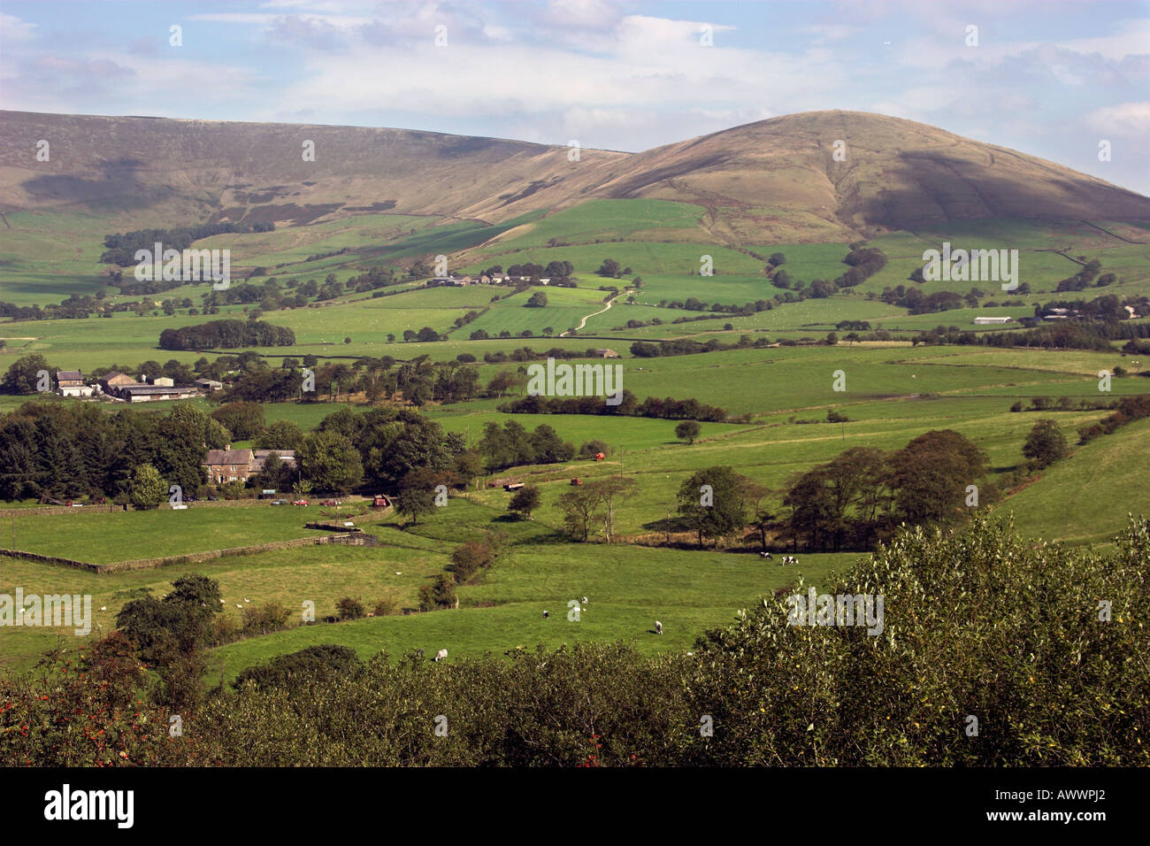 Beacon Fell Country Park in Lancashire Stock Photo 9521569 Alamy