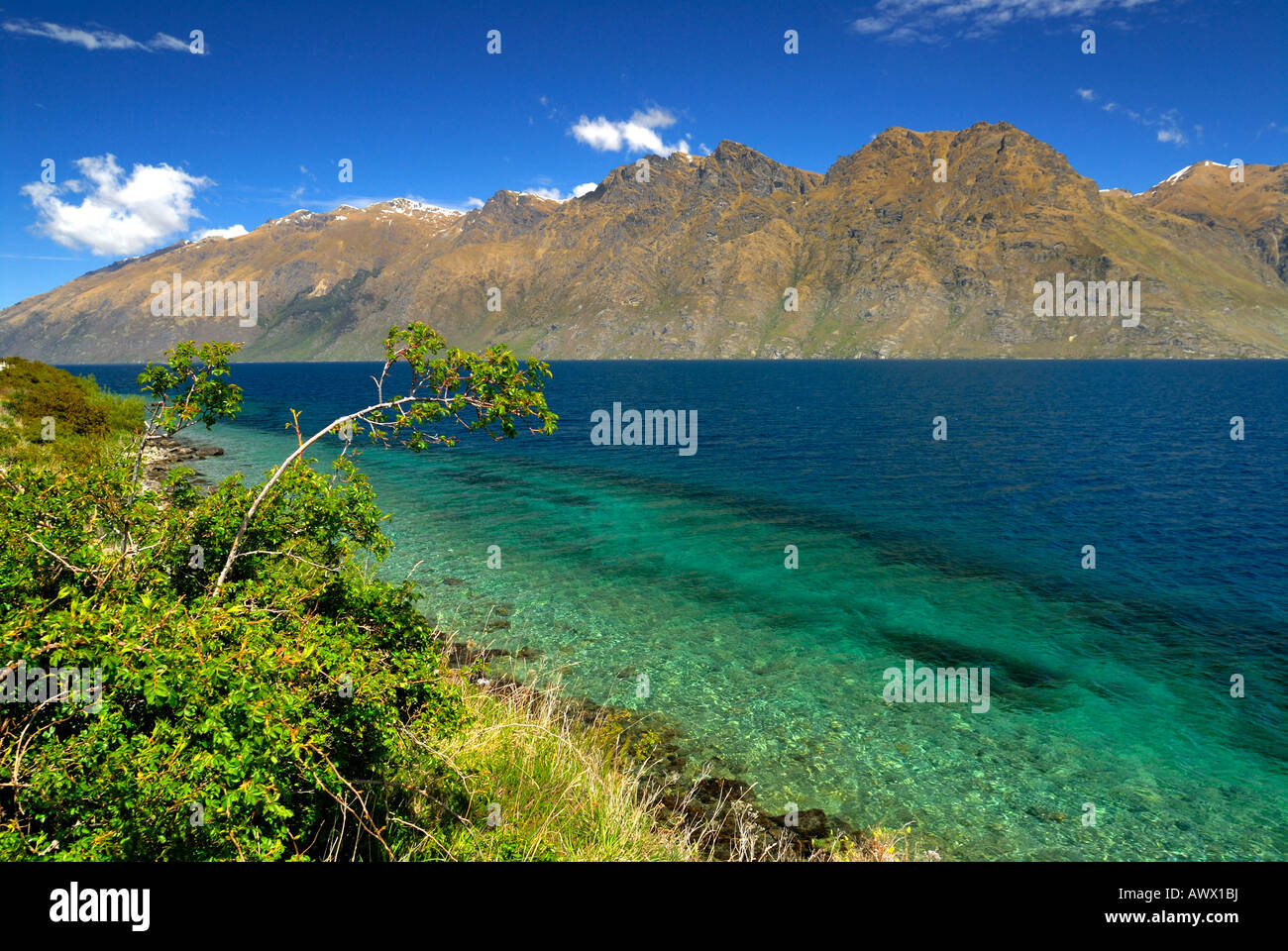 Lake Wakatipu near Queenstown New Zealand South Island Stock Photo - Alamy
