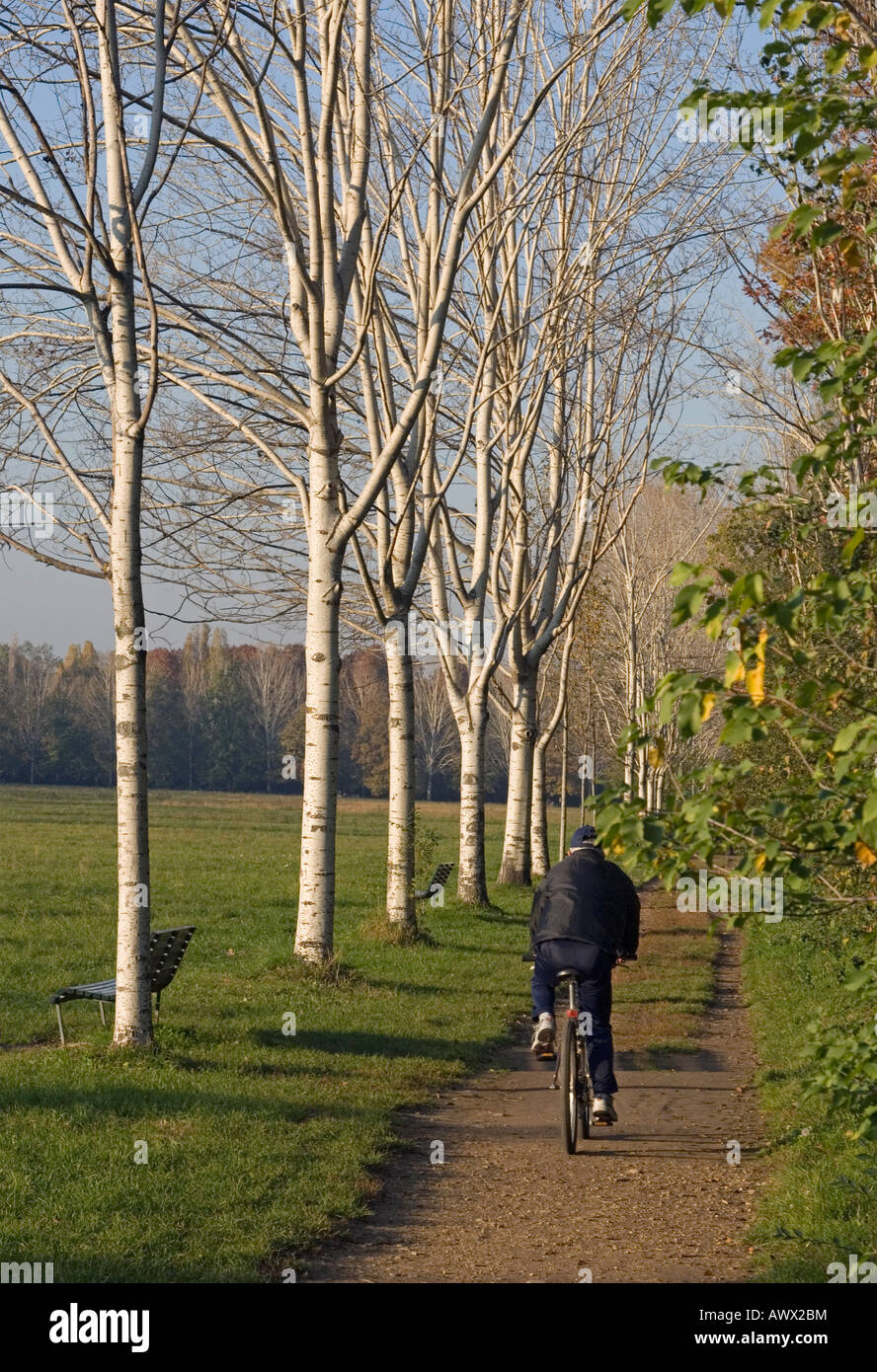 cycling in urban park in autumn Parco Nord Milano Milan Italy Stock Photo