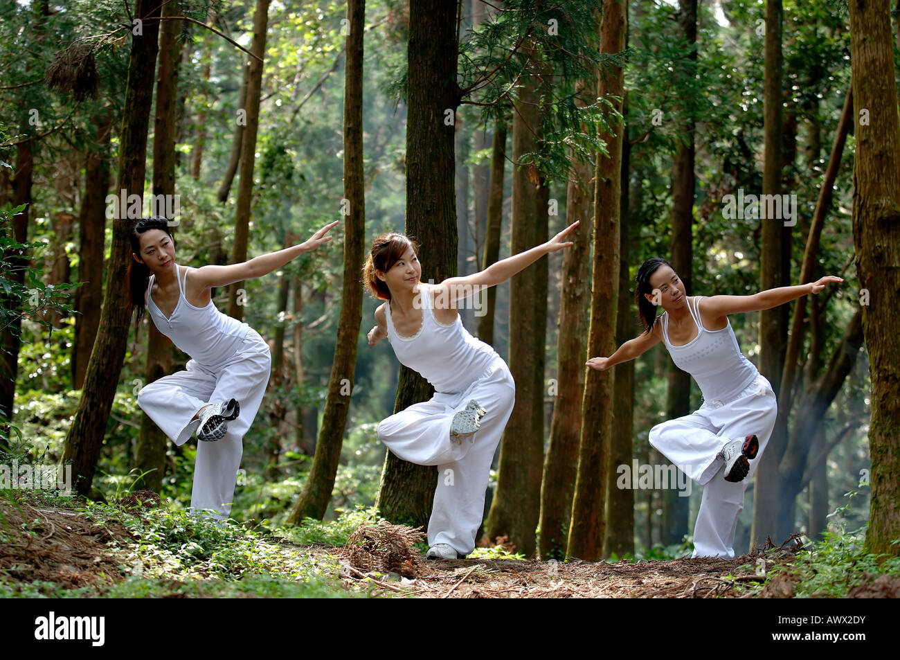 young women practice yoga in forest Stock Photo - Alamy