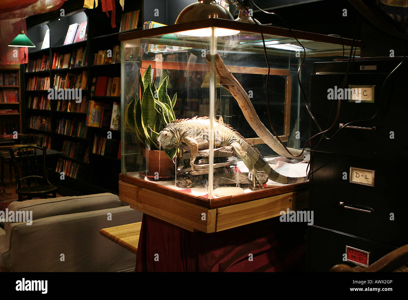 Reptile pet store hi res stock photography and images Alamy