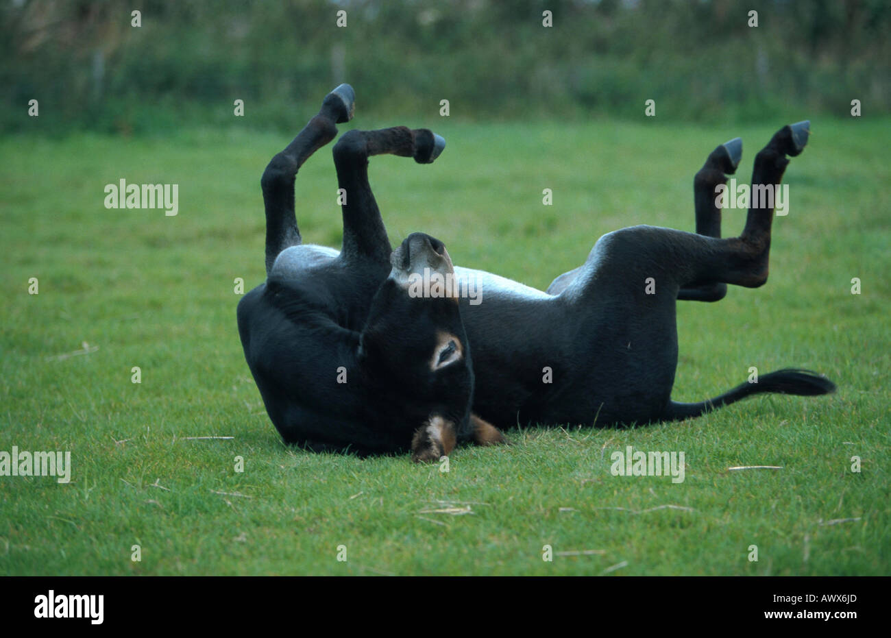 Jaunty position hi-res stock photography and images - Alamy