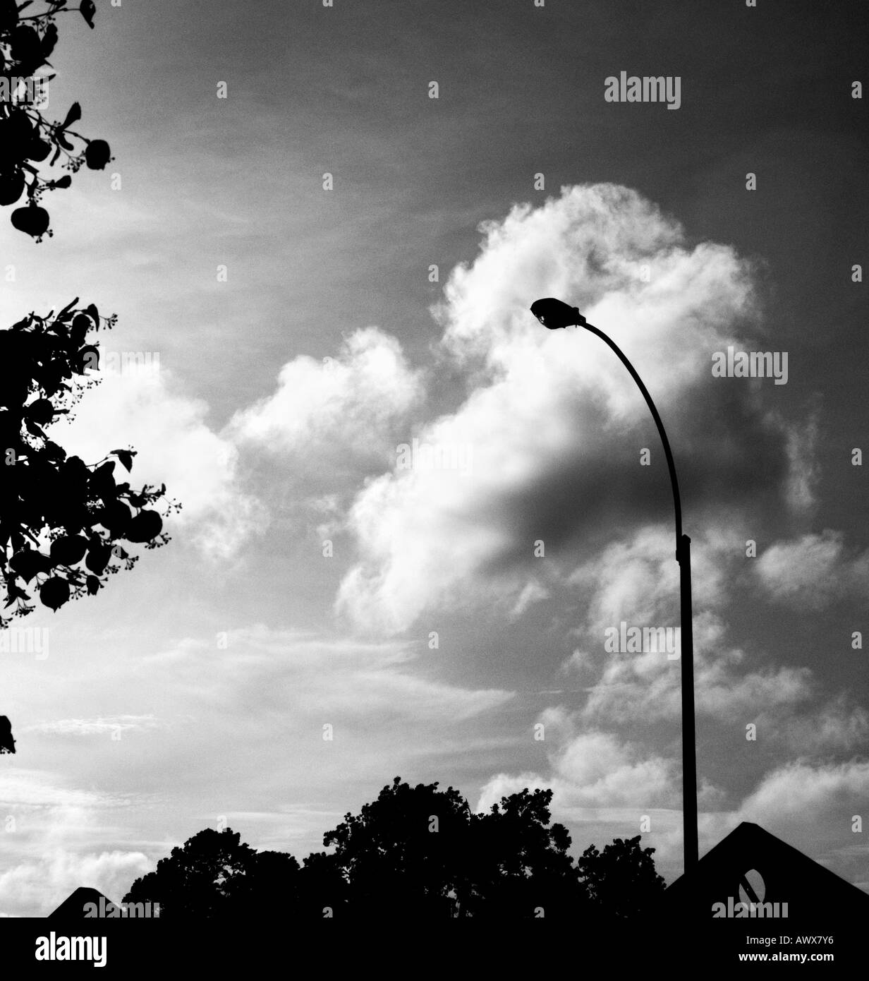 Silhouette lamp post Black and White Stock Photos & Images - Alamy