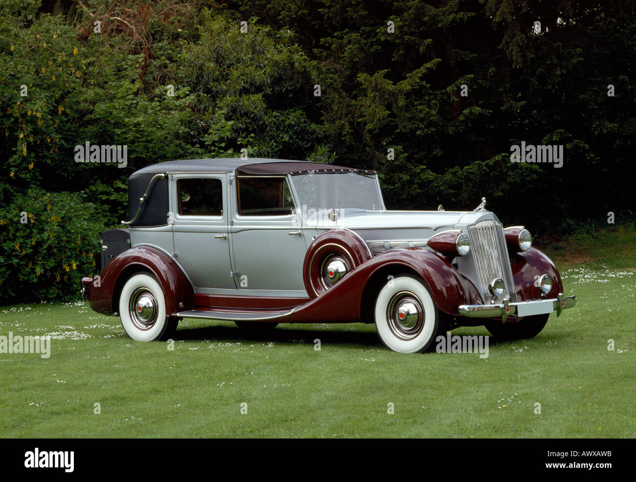 1937 Packard Super Eight 5.2 litre town car. Country of origin USA. Stock Photo