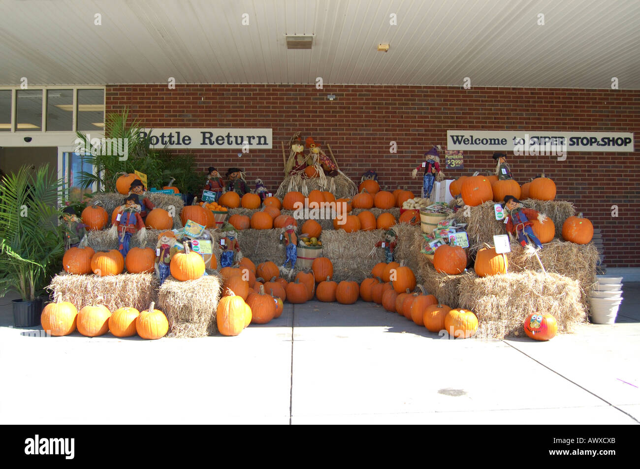Display of Pumpkins outside American Supermarket Stock Photo Alamy