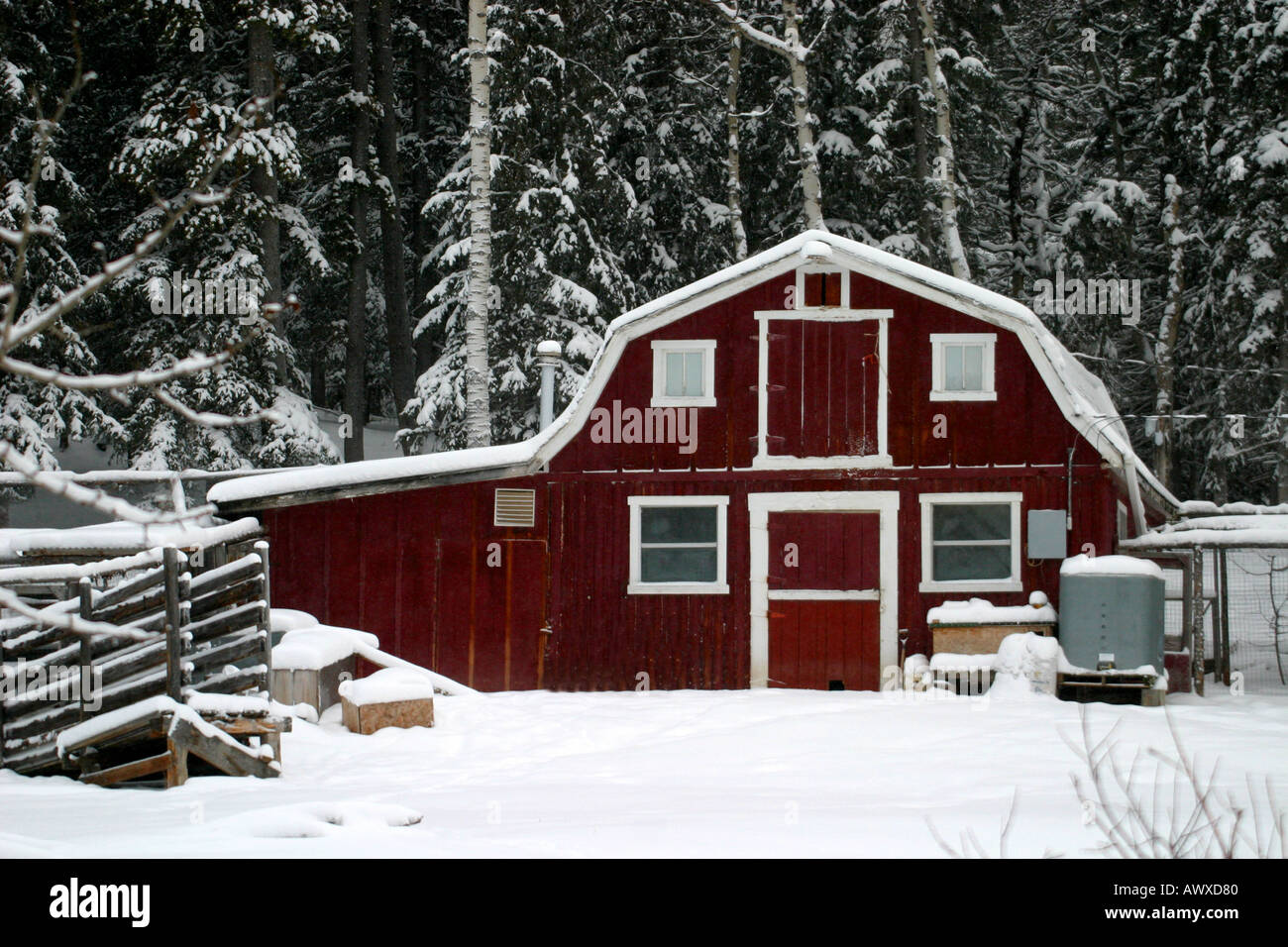 Winter scences Stock Photo