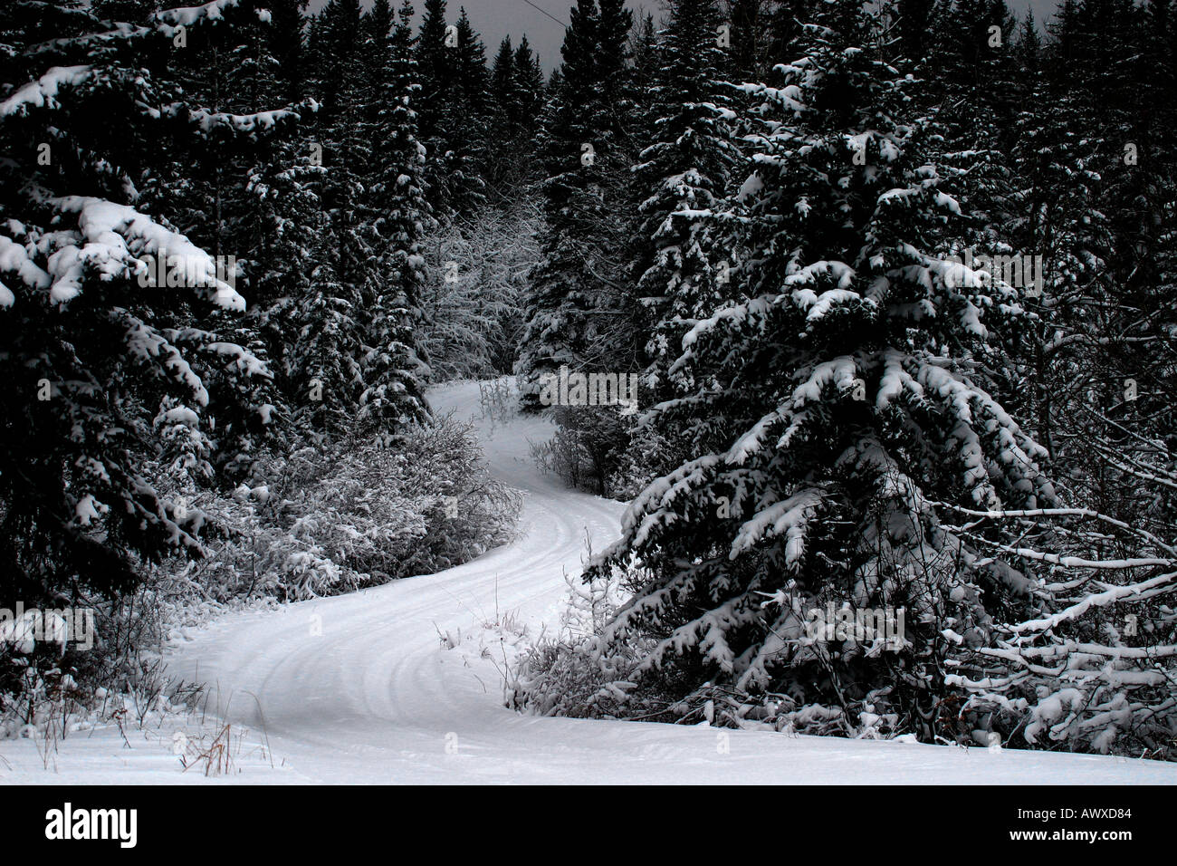 Winter scences Stock Photo