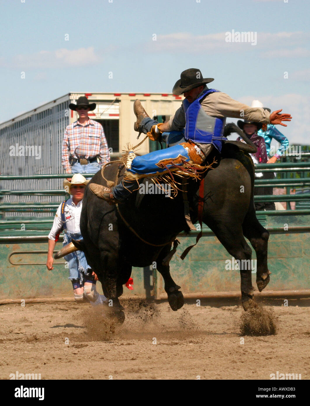 Bull rider Stock Photo