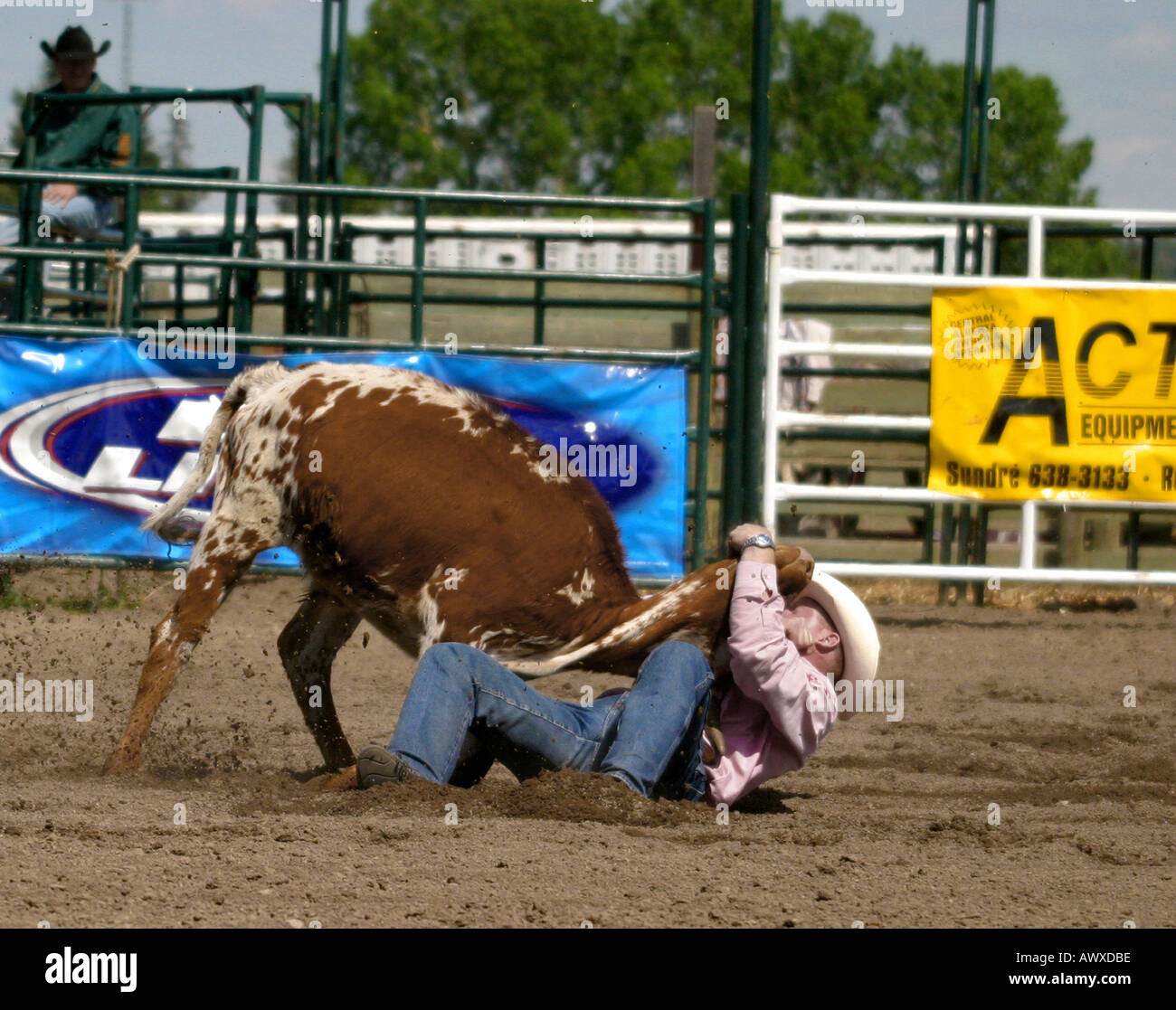 Horse rider angry fence hires stock photography and images Alamy