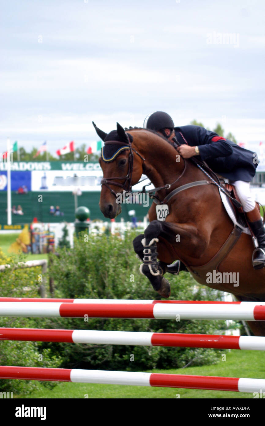 Equestrian international show jumping competition Calgary Alberta