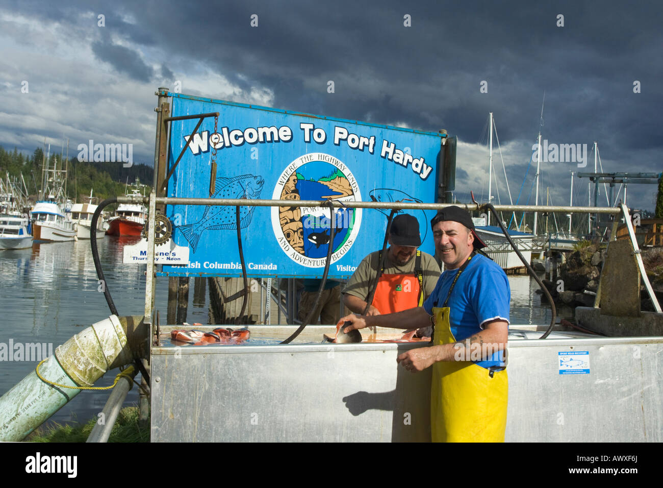 Fisherman gutting fish at a cleaning station in Port Hardy Vancouver