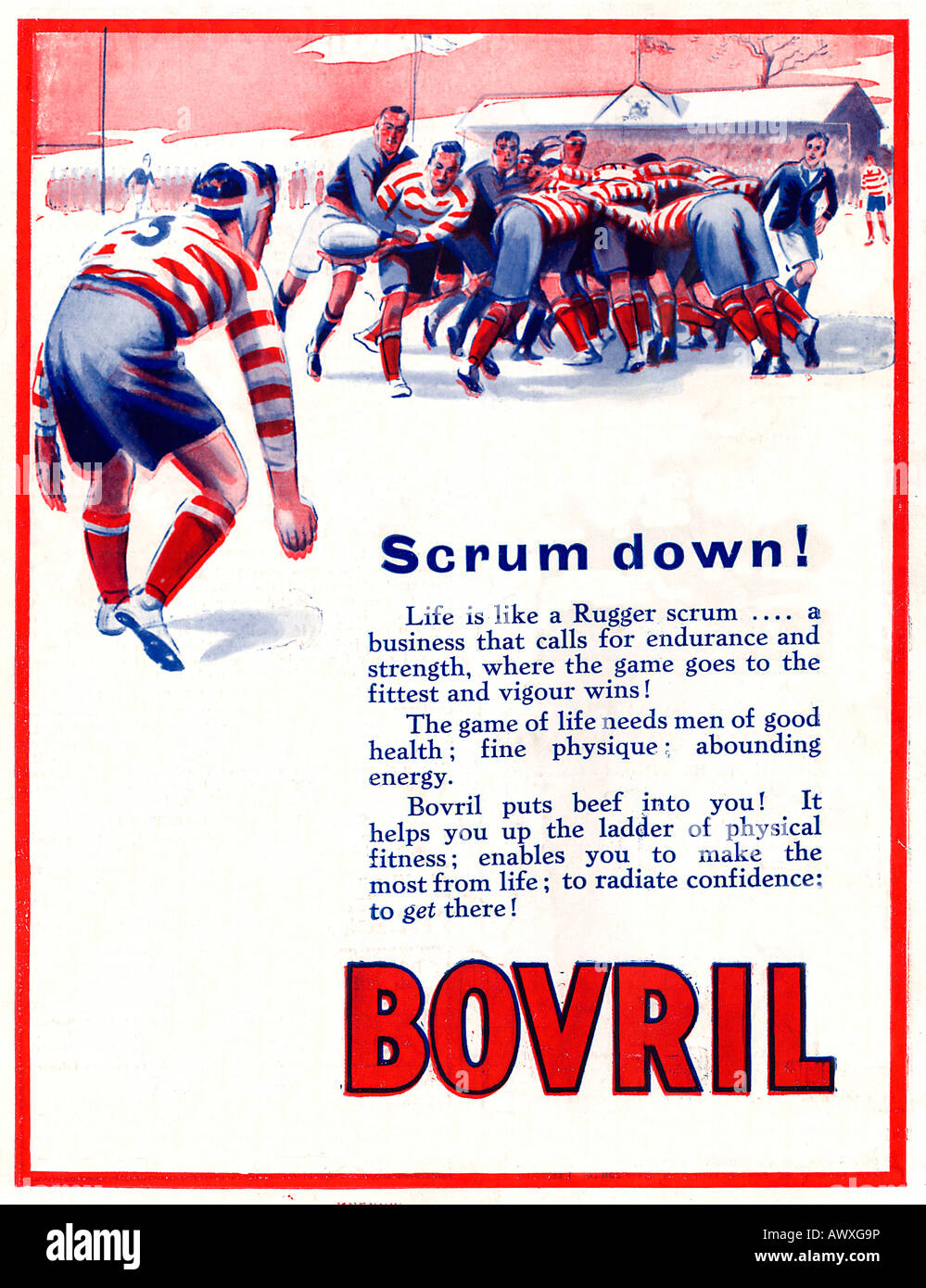 Scrum Down for Bovril 1928 advert for the beef extract beverage extoling the health and vigour supplied by the drink Stock Photo