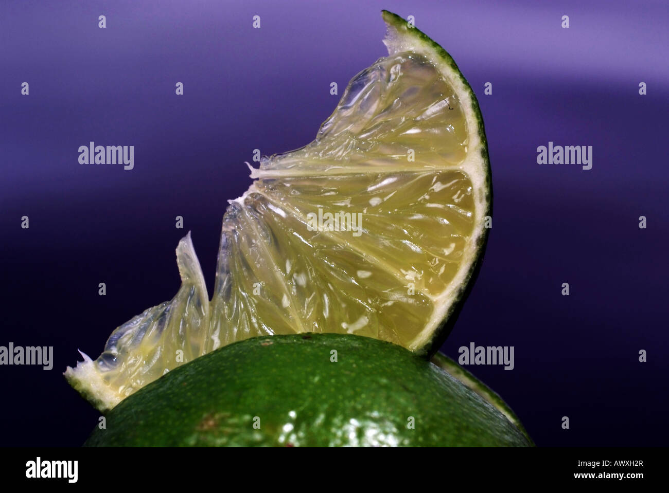 Lime Limette Stock Photo