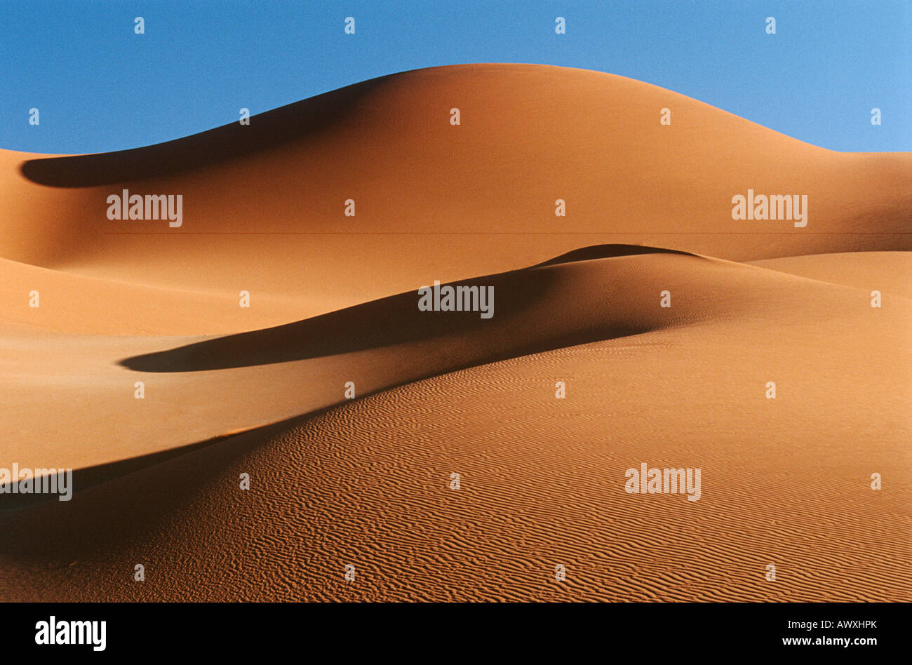Namibia, Namib Desert, sand dunes Stock Photo