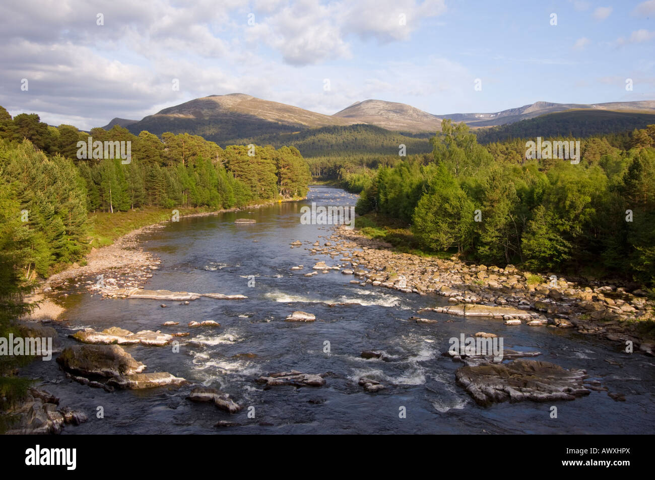 The River Dee flowing through Ballochbuie Forest at Invercauld, near