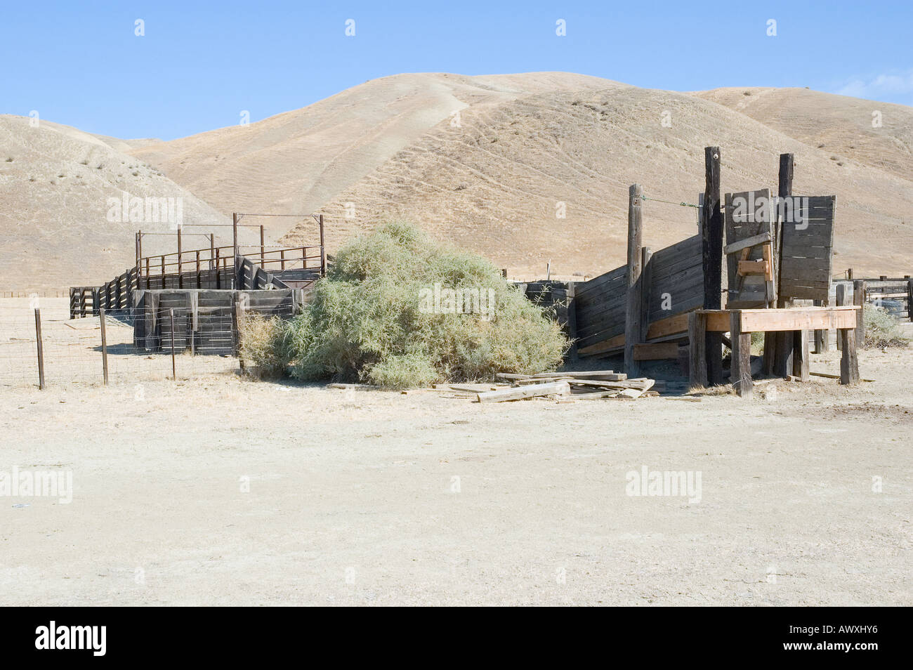 Cattle loading ramp hi-res stock photography and images - Alamy