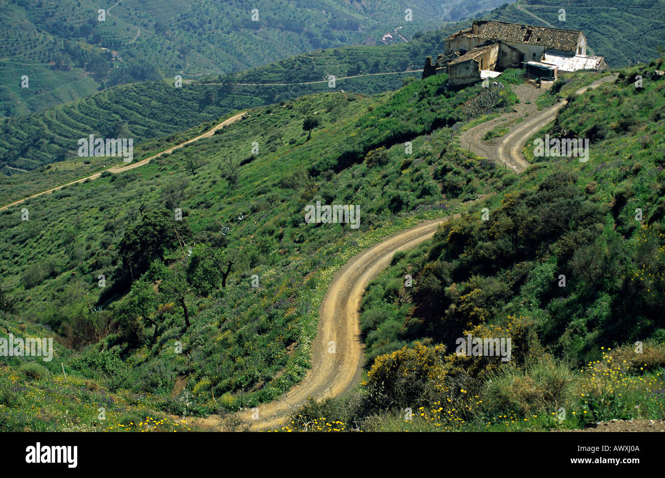 Farmhouse in the Sierra del Chaparral Malaga Andalucia Costa del Sol Spain Stock Photo