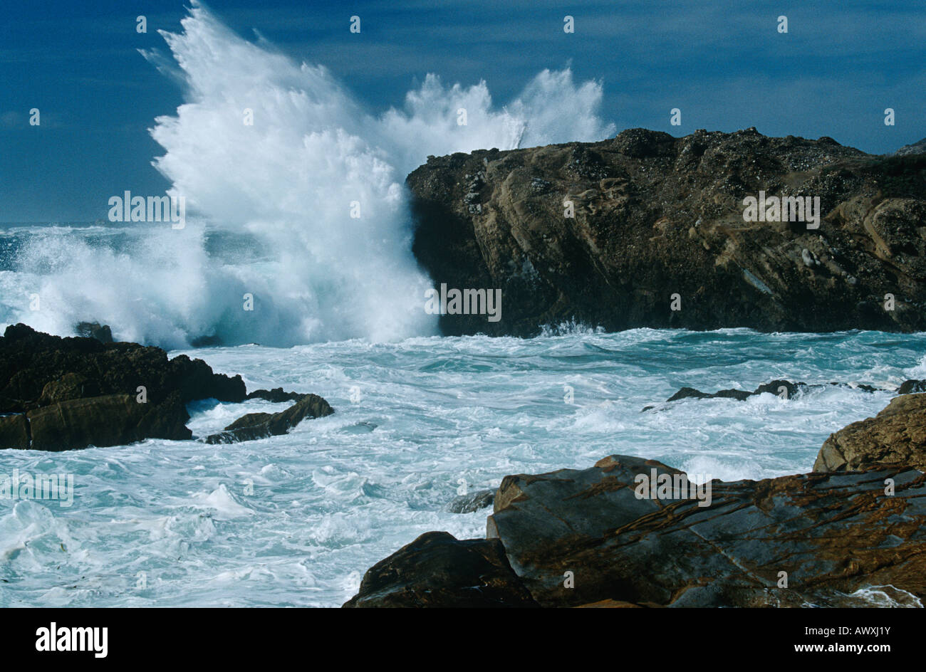 USA, California, Point Lobos, waves splashing on rocks at Pacific coast Stock Photo