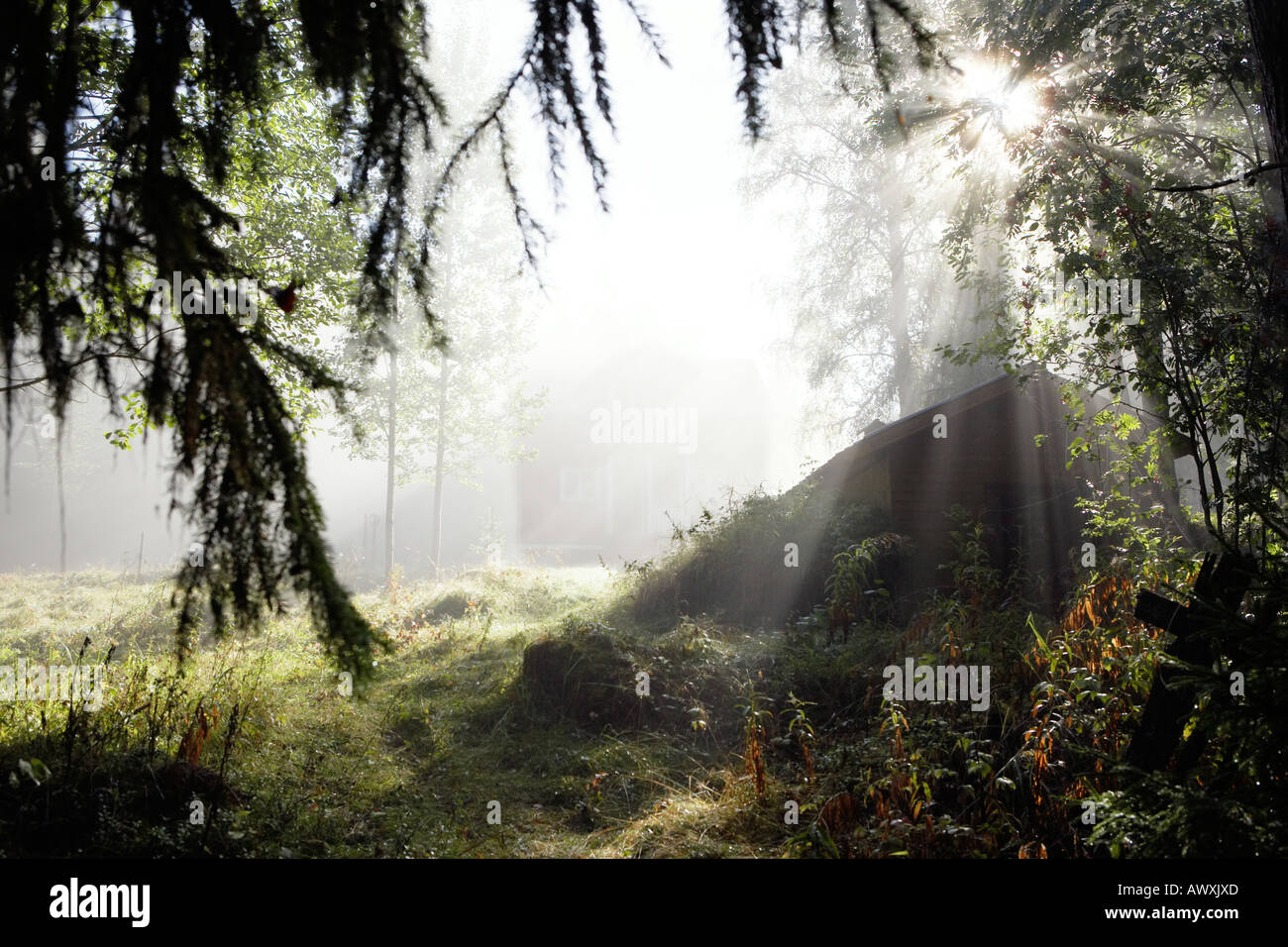 shed some light Stock Photo Alamy