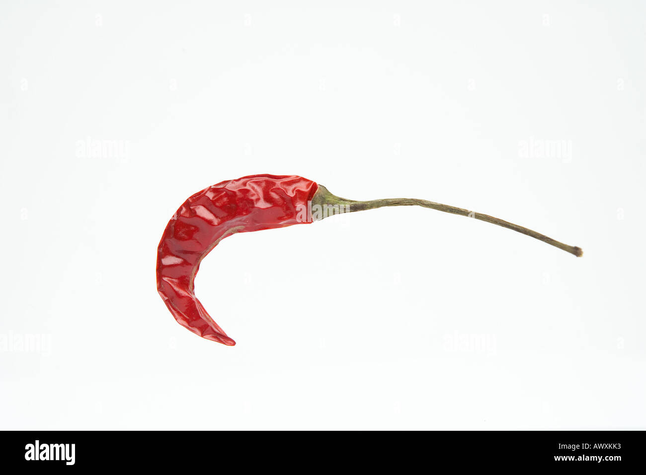 red chili Stock Photo