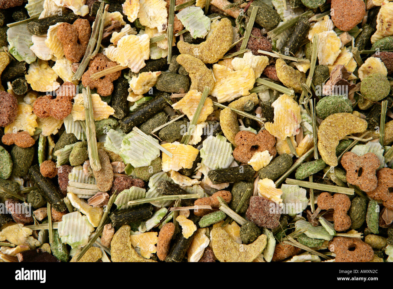 Guinea Pig Pet Food Stock Photo - Alamy