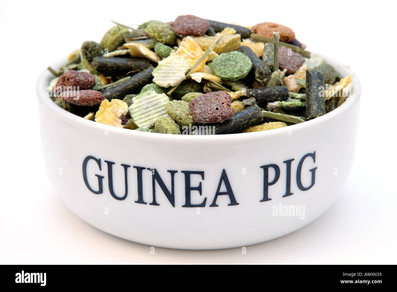 Guinea Pig Pet Food in Bowl Stock Photo Alamy