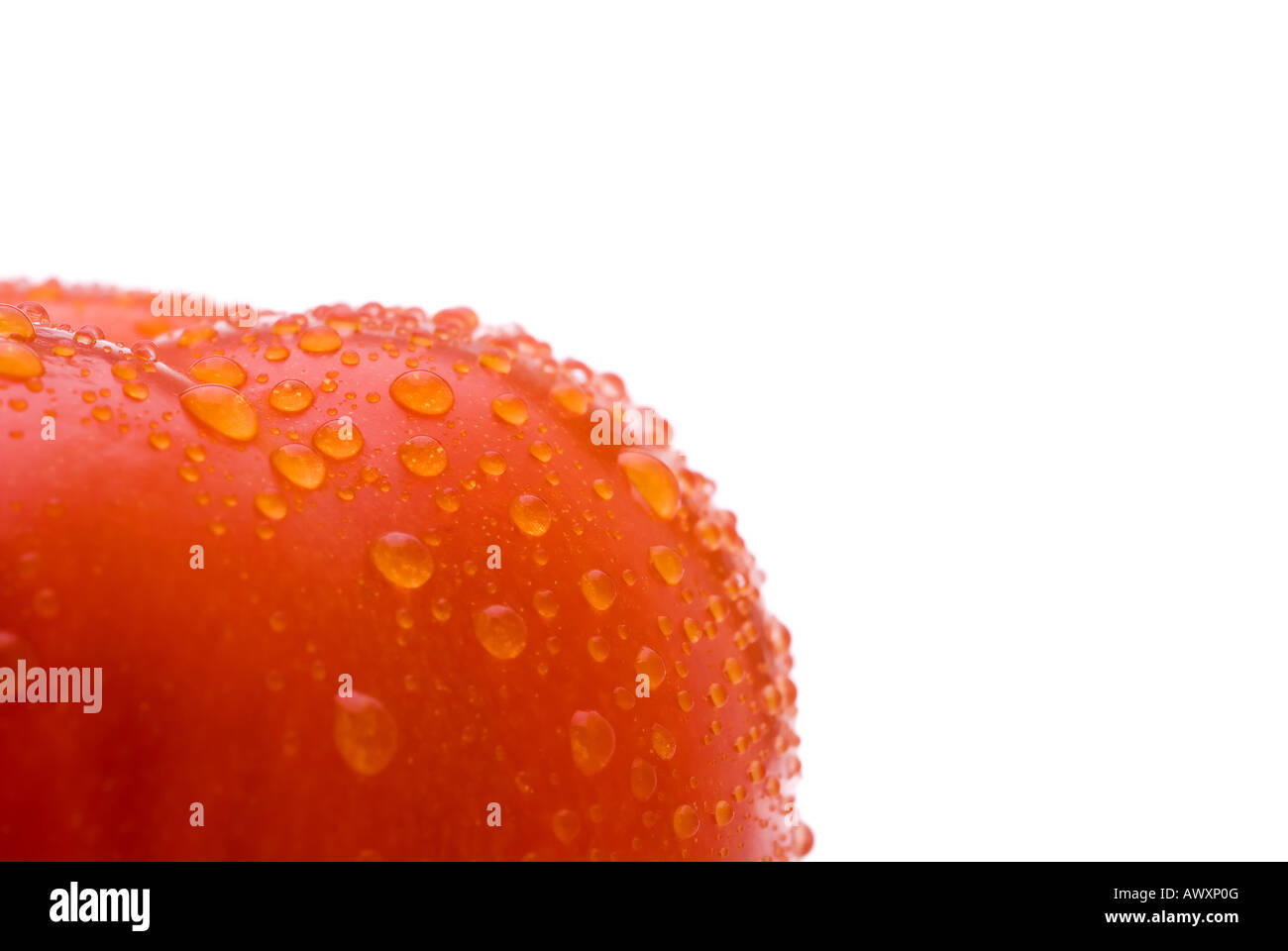 macro of a fresh red tomato on a white background Stock Photo - Alamy