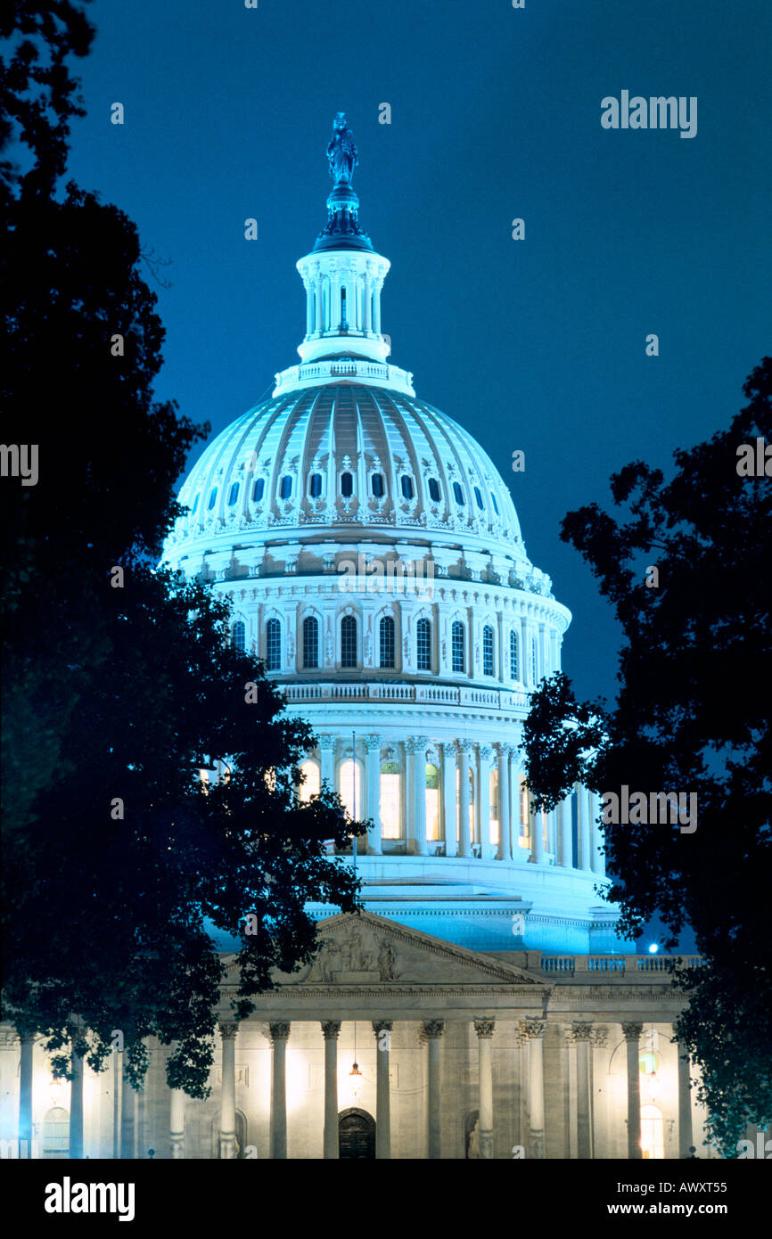Washington, D.C., USA, U.S. Capitol dome at night framed by trees Stock Photo